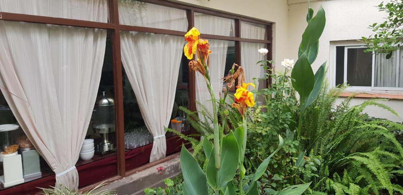 Hotel Apm Punta Mogotes 马德普拉塔 外观 照片